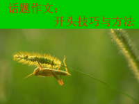 《话题作文开头技巧》PPT课件