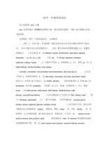初中一年级英语语法-9页