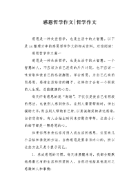 感恩哲学作文