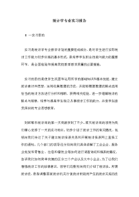 统计学专业实习报告