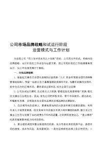 公司市场品牌战略和试运行阶段运营模式与工作计划