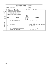 幼儿篮球--教案(大班)