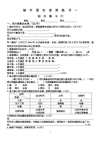 初中语文活页练习一