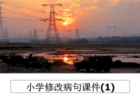 最新小学修改病句课件(1)课件PPT