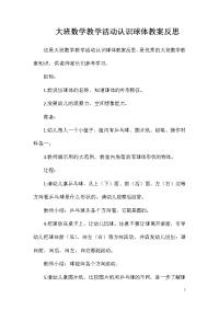 大班数学教学活动认识球体教案反思