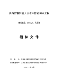 江西省铜鼓县大塅水库除险加固工程标文件技术条款