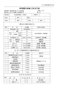 旋挖钻孔灌注桩施工技术交底3(定稿范本)