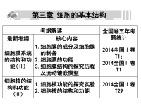 细胞的基本结构高中生物课件