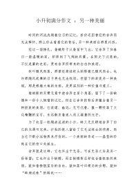 小升初满分作文 ：另一种美丽.docx