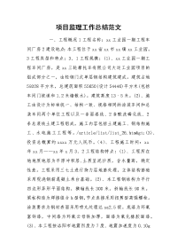 2021项目监理工作总结范文