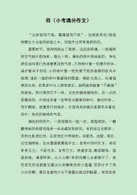 荷（小考满分作文）.docx