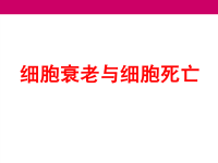 4.3细胞生物学