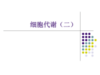 高中生物细胞代谢二ppt课件