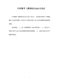 中班数学《数物结合(10以内)》