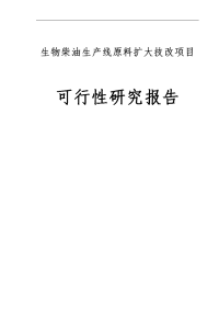 生物柴油生产线原料扩大项目可行性研究报告