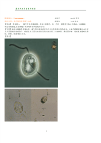 废水处理指示生物图谱