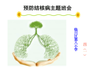 小学结核病防治(主题班会)课件