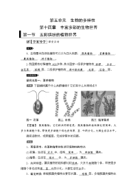 第五单元生物的多样性