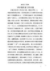 乡计划生育工作计划