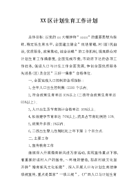 xx区计划生育工作计划