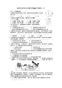 初中科学中考总复习巩固练习资料十六