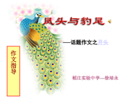作文开头ppt课件