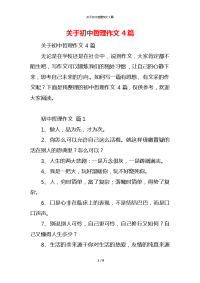 关于初中哲理作文4篇