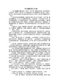 作文开头经典例子