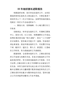 某年组织部长述职报告