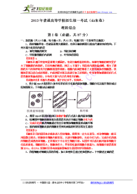 2013山东高考生物试题