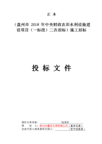 技术文件--（盘州市 2018 年中央财政农田水利设施建设项目（一标段）二次招标）施工招标