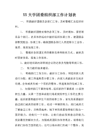 xx大学团委组织部工作计划表