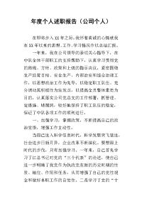 年度个人的述职报告（公司个人）