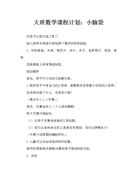 大班数学教案：小当家.doc