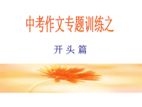 中考作文开头专项训练课件.ppt