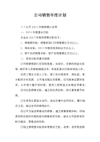 公司销售年度计划