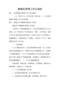 精细化管理工作计划表