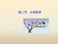 初中生物优质教学课件精选——《从种到界》课件6