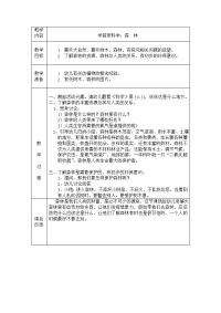 学前班科学：森林6