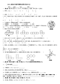 初中数学中考综合练习试卷