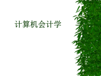 《计算机会计学》ppt课件