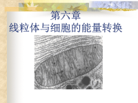 医学细胞生物学