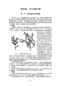 水处理微生物学 第四章 其它微生物