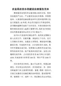 2019农业局农田水利建设自查报告范本