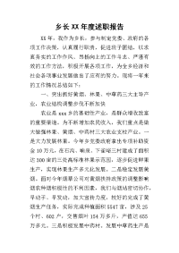 乡长某年度述职报告