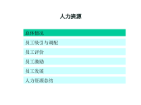 某水电有限责任公司人力资源管理系统诊断报告.pptx