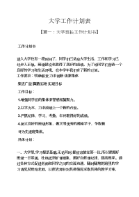 大学工作计划表.docx