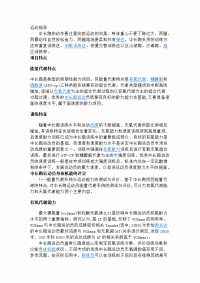 中长跑运动训练指导