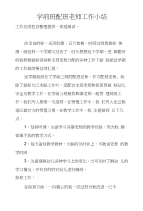 学前班配班老师工作小结