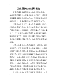 发改委副处长的述职报告